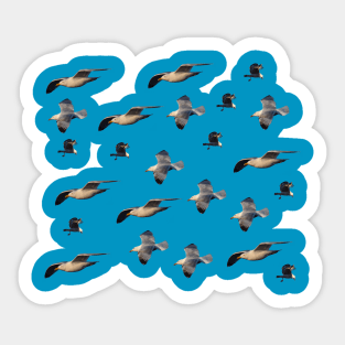 Flock of seagulls in flight art pattern Sticker